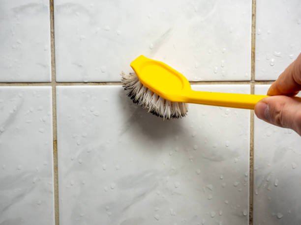 Best Mold Damage Repair  in Franklin Square, NY