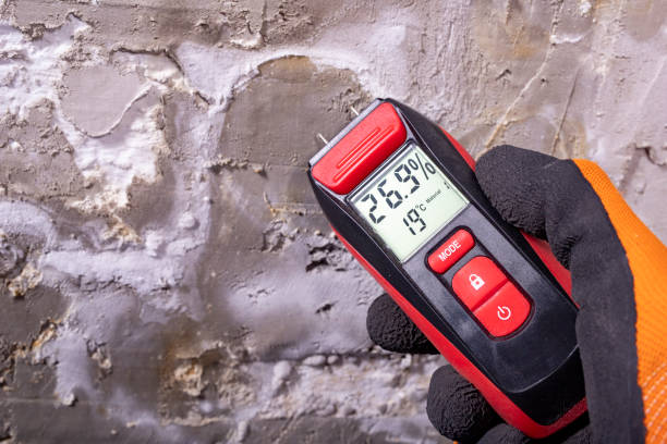 Best Certified Mold Removal  in Franklin Square, NY